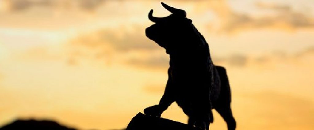 Bull from stock market picture